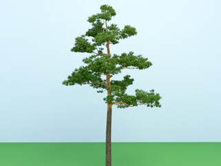 tree 3d models free download - tree 12