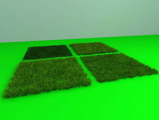 3D models of plants - turf grass
