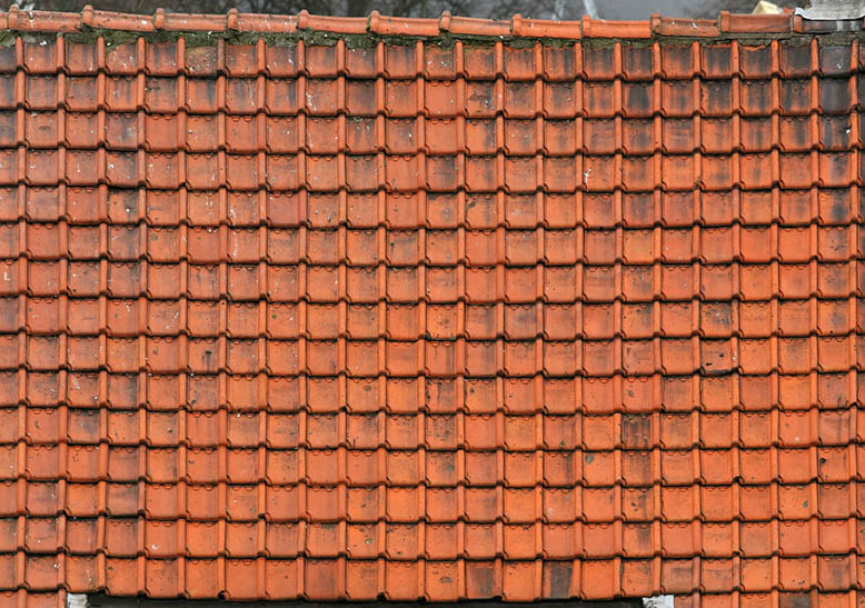roof texture seamless 2