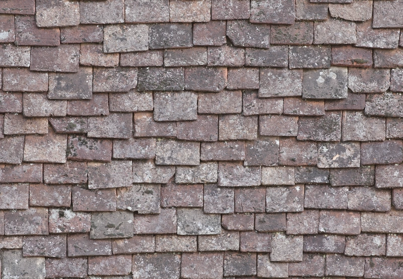 roof tile roof texture 001412023