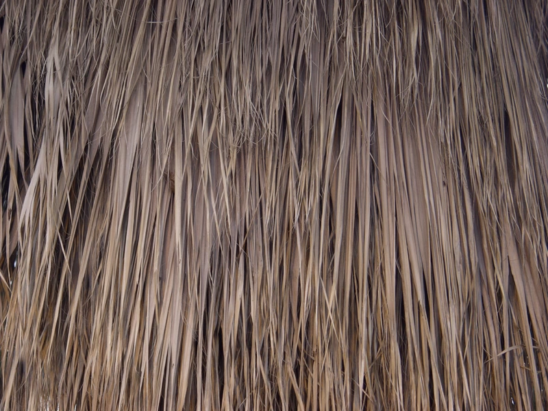 Thatched roof texture 0032023