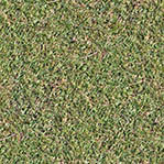 Tileable ground grass texture - grass textures for unity 2