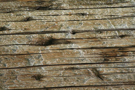 wood texture images 2
