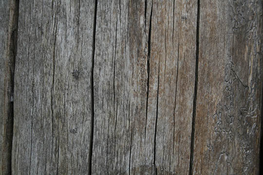 wood texture images 4